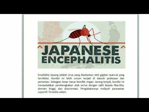 Video: Pengesanan Mycoplasma Haemocanis, Mycoplasma Haematoparvum, Mycoplasma Suis Dan Patogen Bawaan Vektor Lain Dalam Anjing Dari Córdoba Dan Santa Fé, Argentina