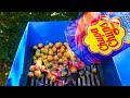 SHREDDING 100 CHUPA CHUPS LOLLIPOPS!