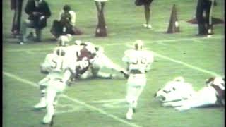 Tiger Triumphs! The Greatest Games in Clemson Football History (1991)