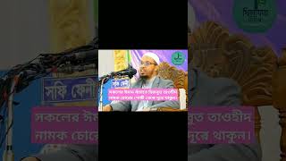 #শায়খ_আহমাদুল্লাহ #ওয়াজ#হিজবুত_তাওহীদ