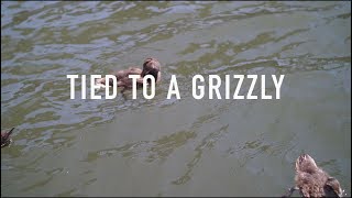 Tied To A Grizzly - Home (A Song Catcher Recording)