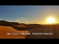 【弾いてみた】 砂漠の太陽 - PRINCESS PRINCESS