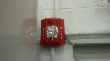 Spectralert advance and BG-12