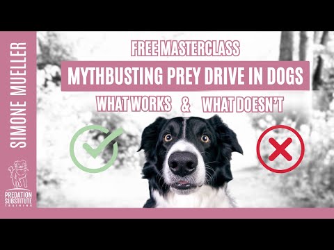 🎯 Prey Drive
