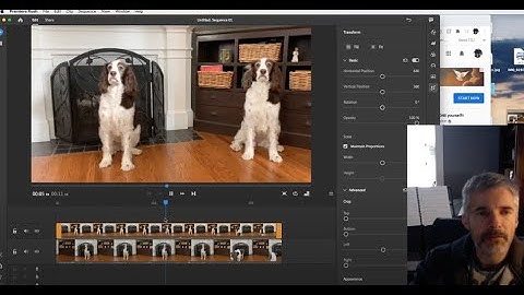 Tutorial: Adobe Rush-Making a split screen conversation