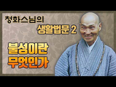 [청화스님 생활법문] 2.불성이란 무엇인가?