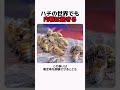 ハチの世界でも内戦は起きる