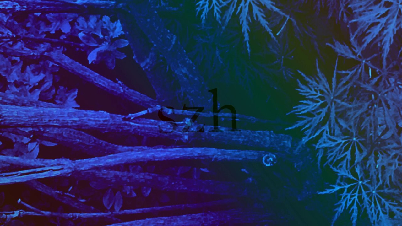 Watch Gizmote - szh on YouTube Watch Gizmote - szh on YouTube