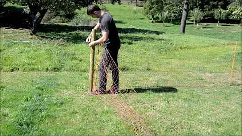 Proč kardio aktivity přispívají ke zlepšení mozkových funkcí?