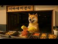 강아지한테 피카츄 돈까스 줘봤습니다 🐶🍢 #강아지요리 #강아지먹방
