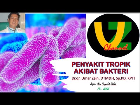 PENYAKIT TROPIK AKIBAT BAKTERI || Dr. dr. Umar Zein