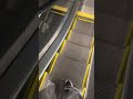 【tiktok150万再生⤴︎】 ストーカー