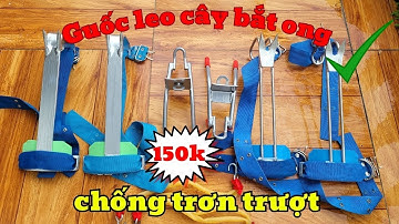Dụng cụ trèo cây / Móng leo cây an toàn giá rẻ / Guốc trèo cây 2 đinh / combo chỉ còn 150k