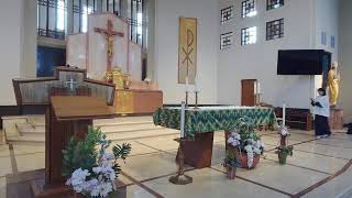 St. Leo Misa Domingo  01.21.2024 (11:30 AM)