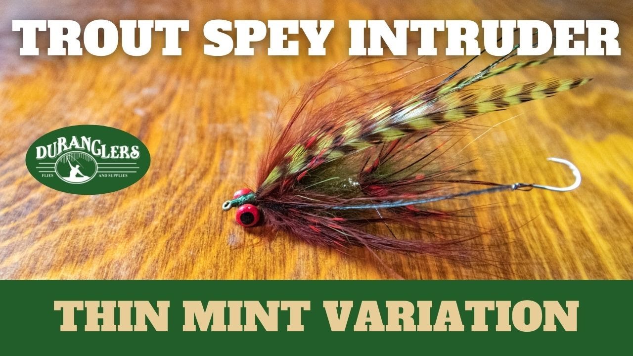 Trout Spey Intruder, Thin Mint Variation Fly Tying