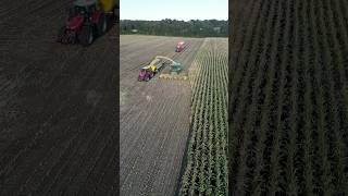 John Deere 8600I Mais Silage