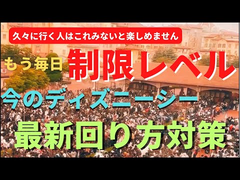 【ディズニーシー】危険水域を越えました。 チケット売り切れ続出の今のパークの回り方を徹底解説します。久々の人は絶対見てください