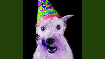 Pulsating Music for Morning Puppy Exercise