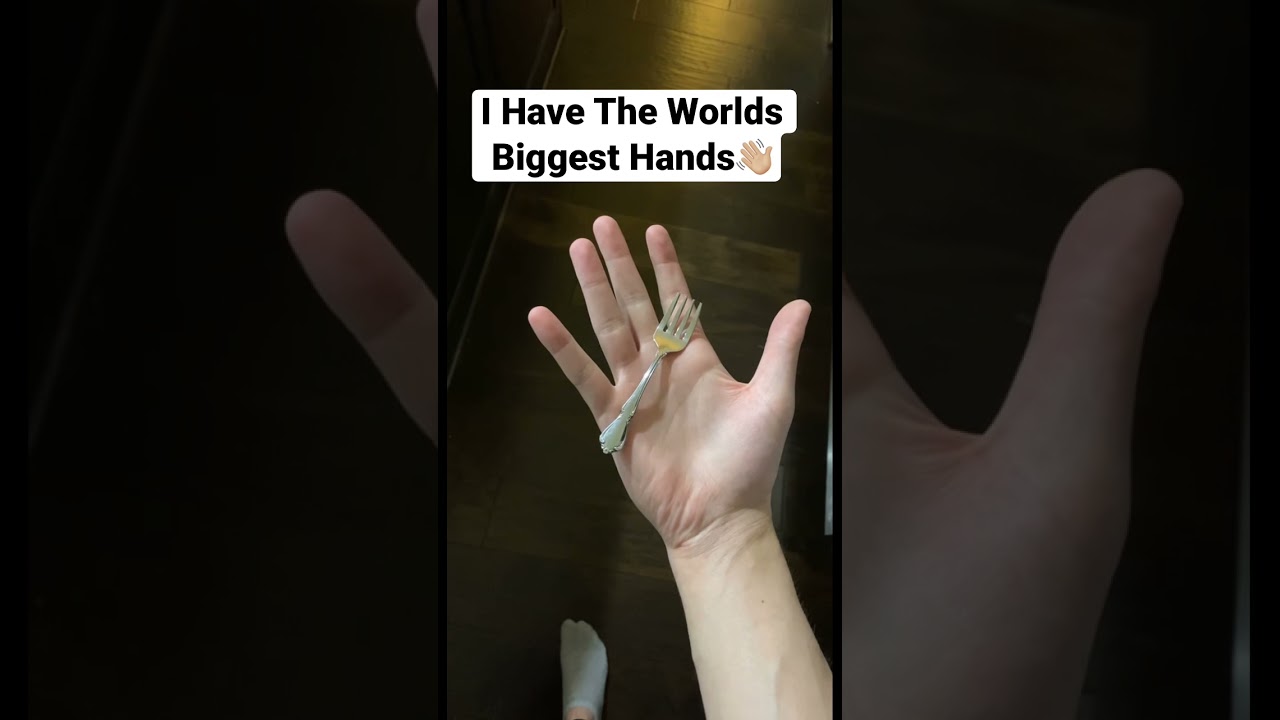 Worlds Biggest Hands 