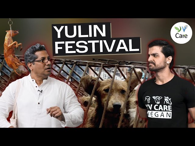 यूलिन महोत्सव| Yulin Festival. Vegan Hindi India. #shorts