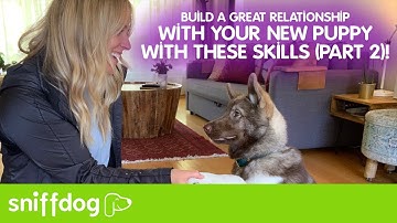 New Skills For Training Your New Puppy - Part 2