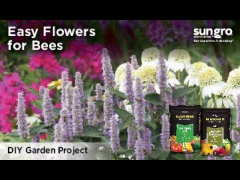 Wideo: Rodzaje miodu z kwiatów: czy różne kwiaty robią inny miód