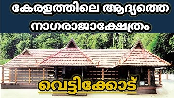 ആദിമൂലം വെട്ടിക്കോട് നാഗരാജ ക്ഷേത്രം | ADIMOOLAM VETTIKKOd NAGARAJA TEMPLE | ANCIENT SERPENT TEMPLE