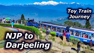 NJP to Darjeeling by Toy Train | New Jalpaiguri to Darjeeling by Toy Train NJP to Darjiling by Train