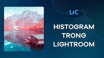 Bài 3: Biểu đồ Histogram trong Lightroom | How To Art