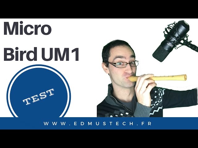 Bird UM1 Microphone de Studio USB - Noire