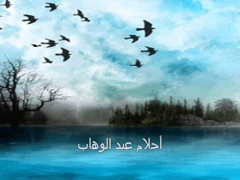 الشيخ سيد النقشبندي ربي هب لي الهدي و أطلق لساني