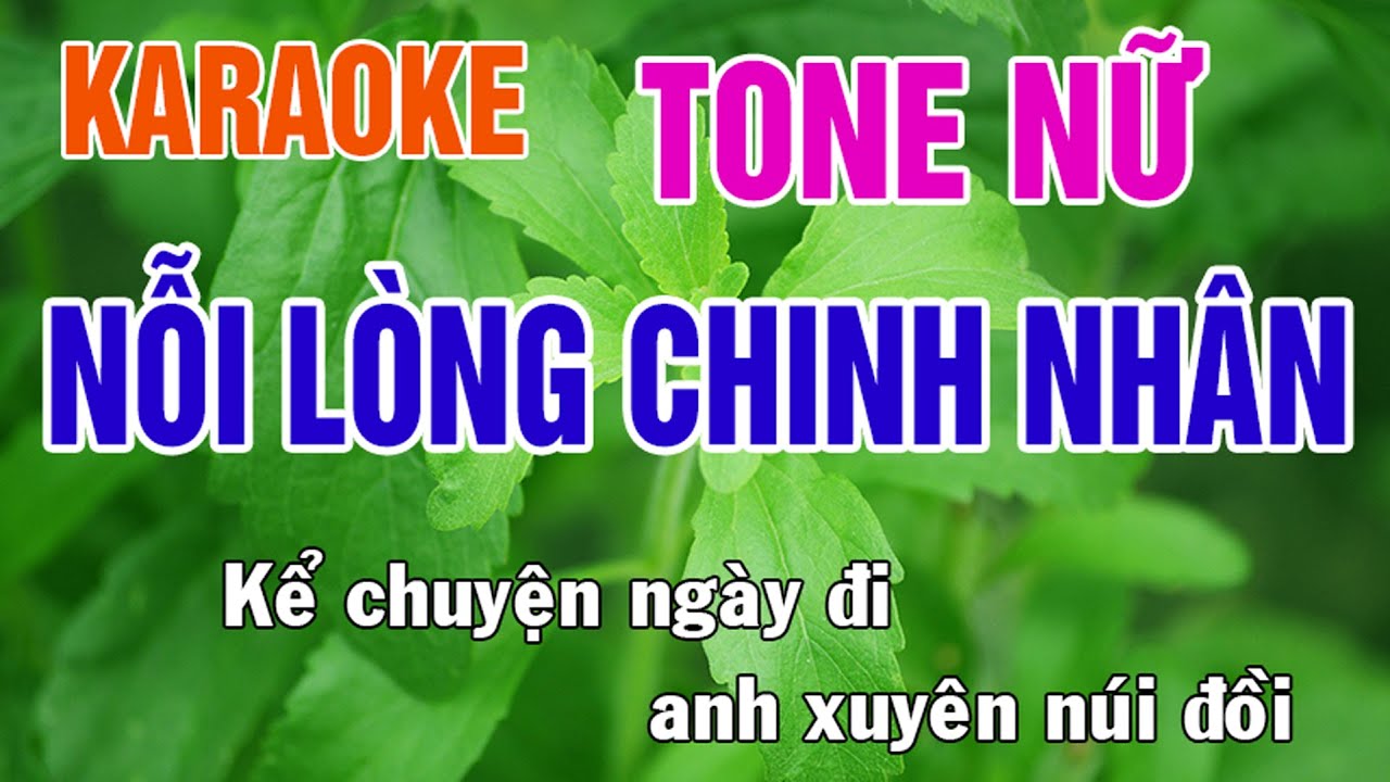 Nỗi Lòng Chinh Nhân Karaoke Tone Nữ Nhạc Sống - Phối Mới Dễ Hát - Nhật Nguyễn