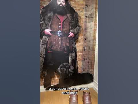 Магазин Гарри Поттер в Нью Йорке🇺🇸 - YouTube