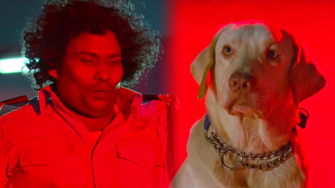 योगी बाबू ने बड़ी चालाकी से और कुत्ते की मदद से बच्चे की जान बचायी