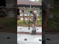 day 1 belajar tanam melon #ytshorts #melon #garden