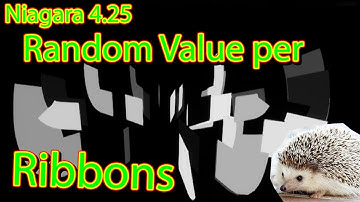Niagara 4.25: Random Value per Ribbon