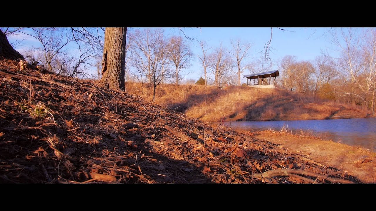 SHOTS - Lumix GH4 and GH3 Cinematic Grading - YouTube