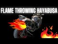 FLAME Throwing 2019 Hayabusa Hits the Dyno for an ECU FLASH with POPS AND BANGS- Moore Mafia