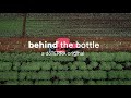 Melissa Essential Oil | doTERRA Behind the Bottle: Episode 11