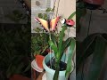 VID 20230503 004222 1 احداث مدهشة 