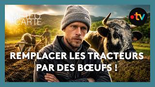 How to replace tractors in agriculture? - Report - Weather on demand