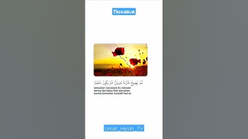 Thumbnail of Syekh saad al ghamidi #taddabur #hijrah #shortislam #alquran