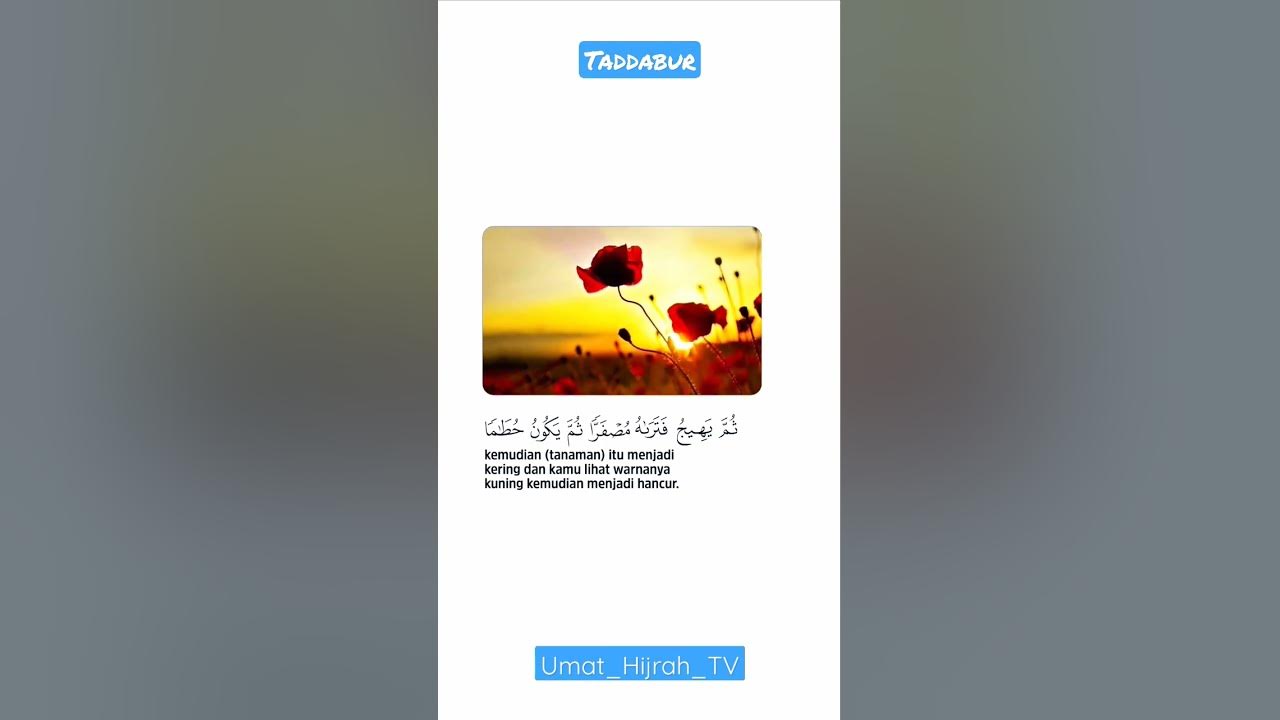 Syekh saad al ghamidi #taddabur #hijrah #shortislam #alquran