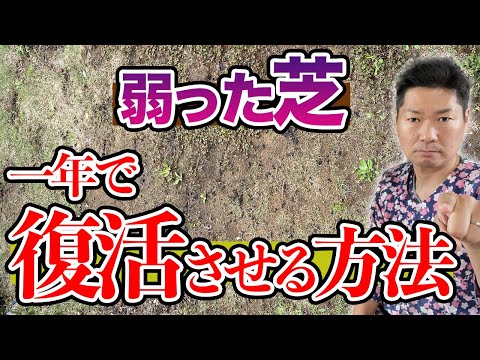 春の芝生をよみがえらせる8ステップ – これで夏まで青々と！