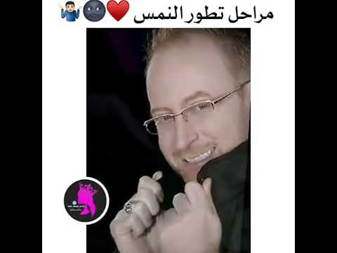 مراحل تطور الفنان مصطفى الخاني النمس