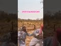 انقع انقع وشو فائدة الأرض من دون طابو قيد تسجيل شايش النعيمي