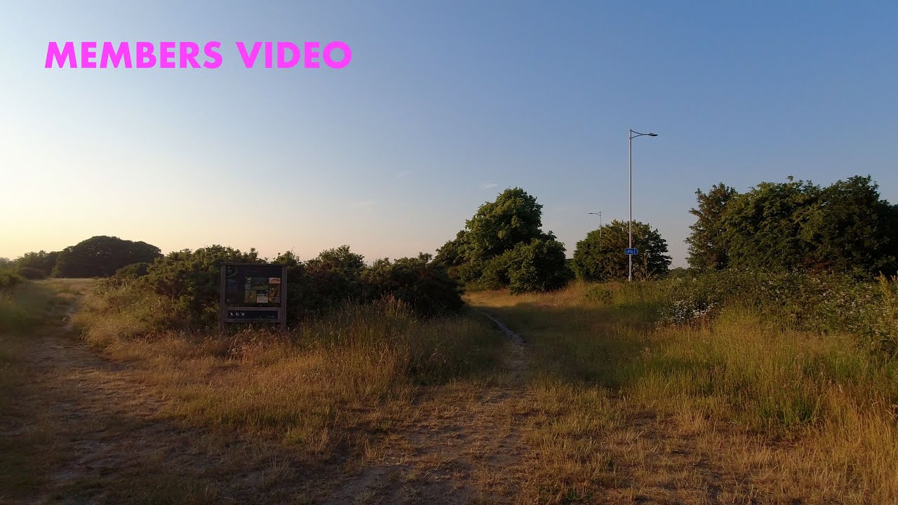 Evening Walk on Wanstead Flats & Dover preview (4K) YouTube