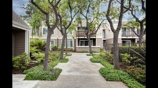 Renovated 2 Bedroom 1 Bathroom Apartment Home Located On the 2nd Floor @ Le Parc in Santa Clara, CA