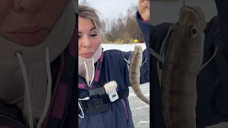 Последний лед 2024-2025. Рыбалка в деревне #fishing #зимняярыбалка