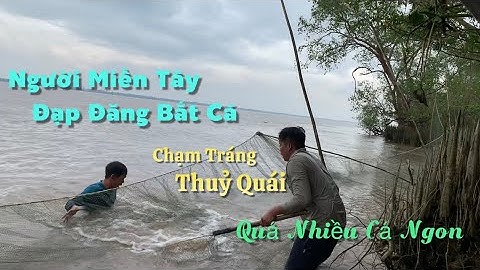 Người Miền Tây đạp đăng mé chạm tráng Thủy Quái và rất nhiều tôm cá ngon | Cù Lao Dung Vlogs #627